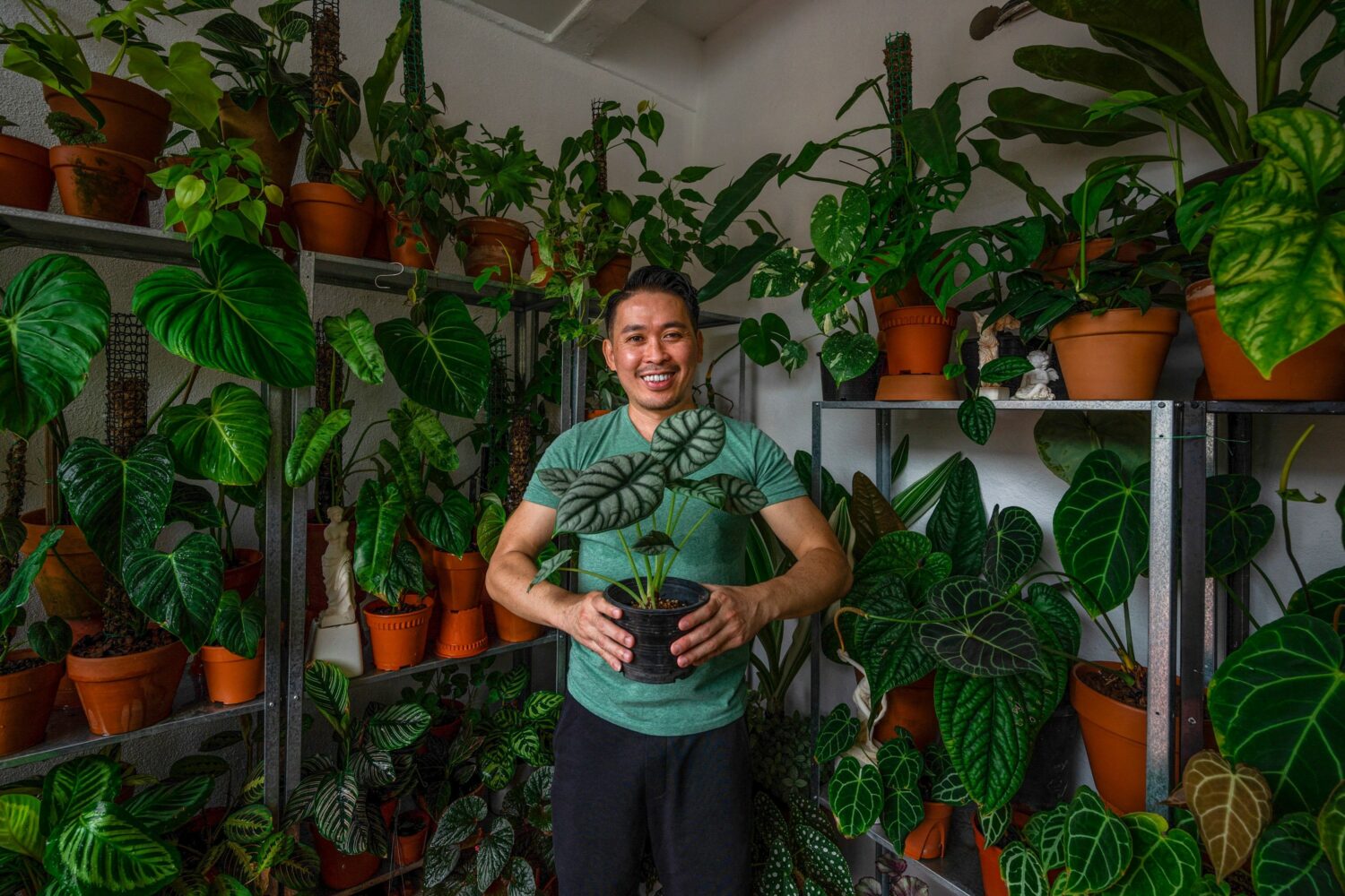 Leafy Green Friends: Our Pandemic Plant Parenthood | 1A