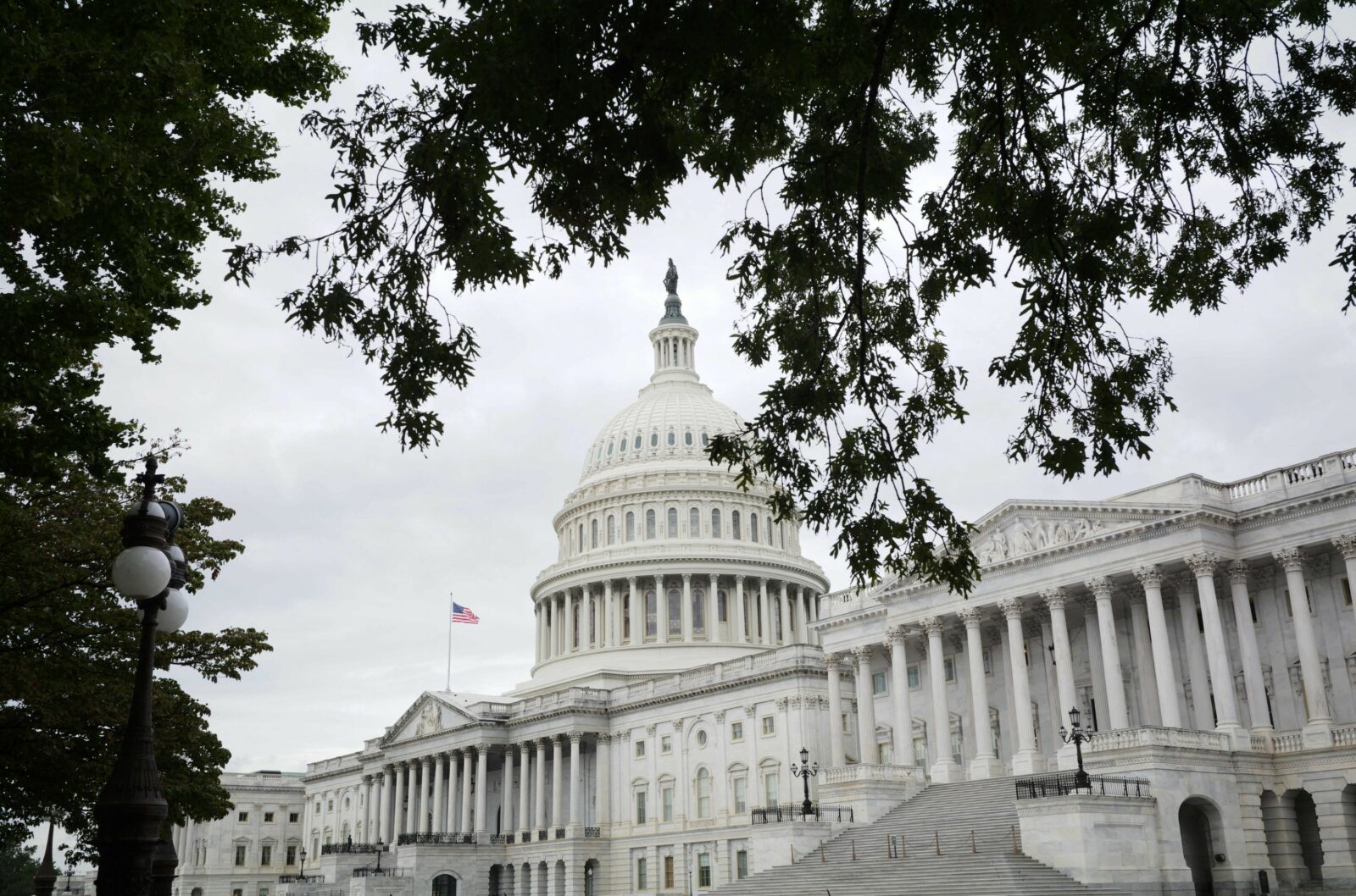 Skarlatos continues to outpace Hoyle in fundraising - Vimarsana News