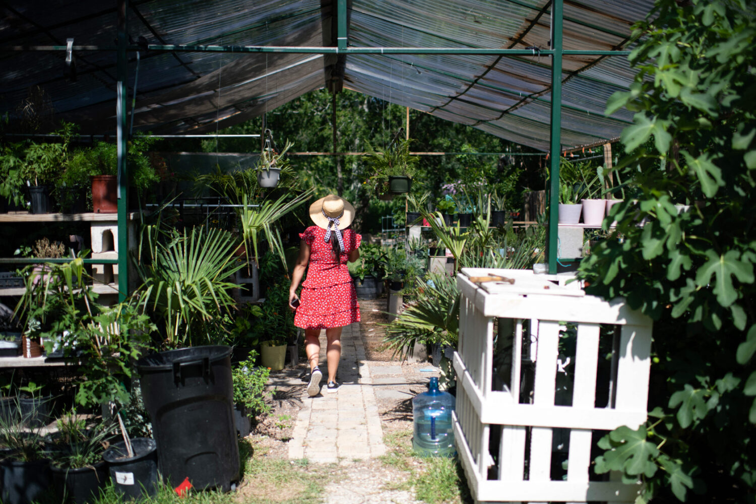 How to get the backyard garden of your dreams | 1A, image size:1500x1000