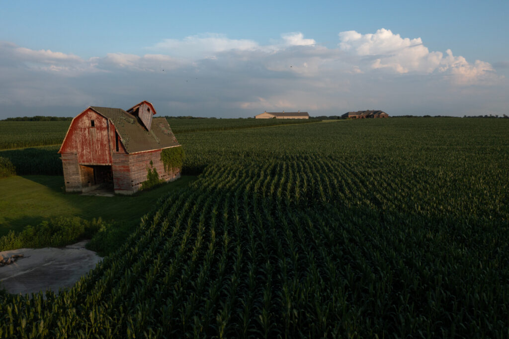 The fate of the farm bill