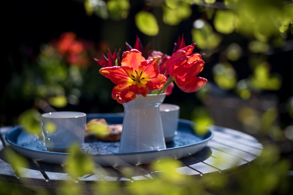 Getting your garden summer ready